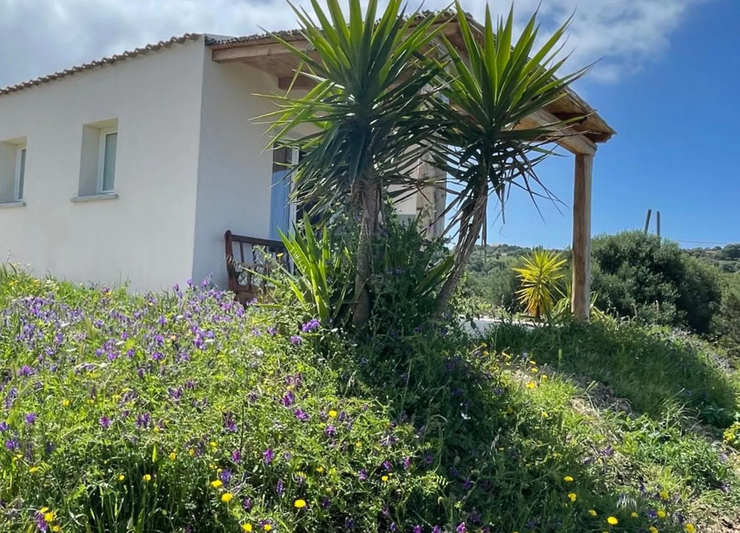 Hotel apartamentowy Isola Rossa Appartamenti Paduledda