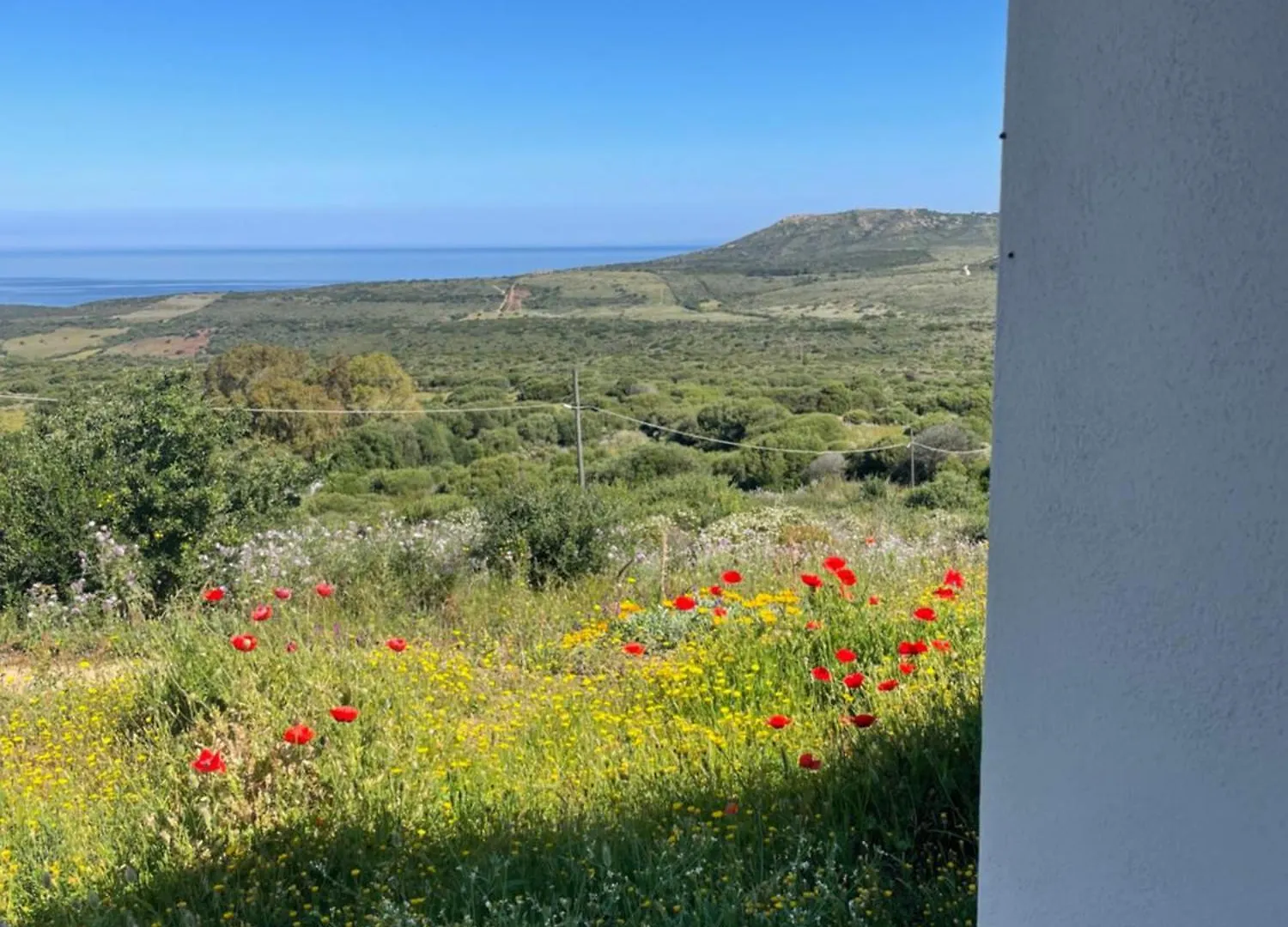 Aparthotel Isola Rossa Appartamenti Paduledda